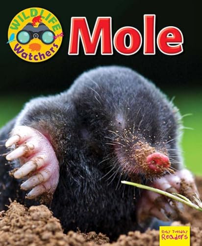 Beispielbild fr Wildlife Watchers: Mole 2017 (Ruby Tuesday Readers) zum Verkauf von WorldofBooks