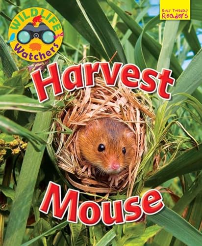 9781911341260: Wildlife Watchers: Harvest Mouse (Ruby Tuesday Readers)