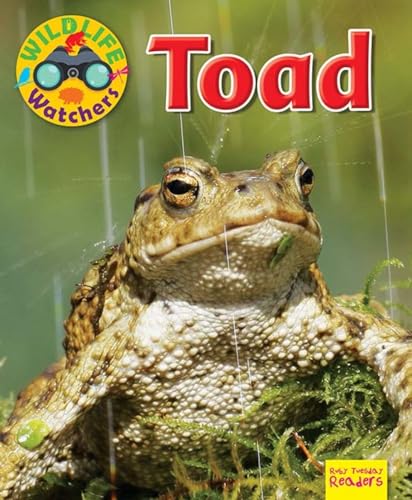 Beispielbild fr Wildlife Watchers: Toad 2017 (Ruby Tuesday Readers) zum Verkauf von WorldofBooks