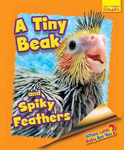 9781911341604: Whose Little Baby Are You? A Tiny Beak and Spiky Feathers (Ruby Tuesday Readers)