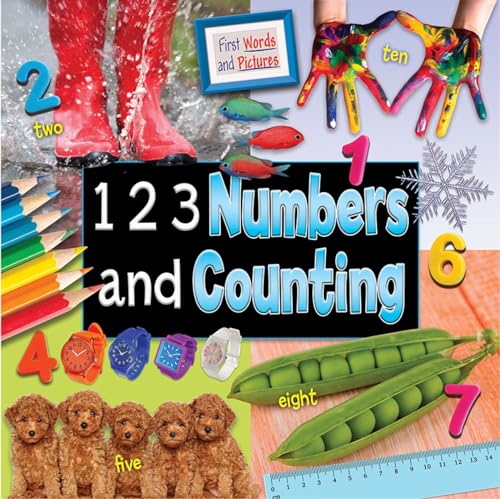 Beispielbild fr 1 2 3 Numbers and Counting: First Words and Pictures 2017 (First Wprds and Pictures) zum Verkauf von WorldofBooks