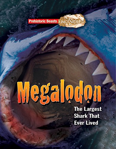

Megaladon : Prehistoric Beasts Uncovered - the Largest Shark That Ever Lived
