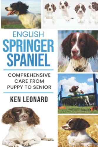 Beispielbild fr English Springer Spaniel: Comprehensive Care from Puppy to Senior; Care, Health, Training, Behaviour, Understanding, Grooming, Costs and much more zum Verkauf von WorldofBooks