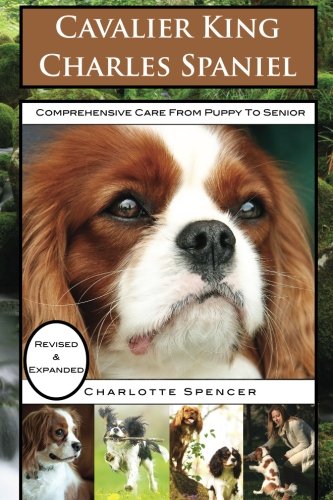 9781911348153: Cavalier King Charles Spaniel: REVISED & EXPANDED: Comprehensive Care from Puppy to Senior; Care, Health, Training, Behavior, Understanding, Grooming, Showing, Costs and much more