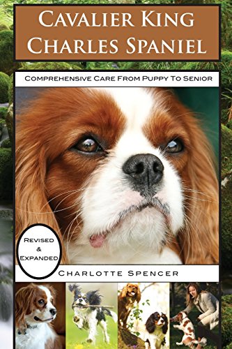 Stock image for Cavalier King Charles Spaniel: REVISED EXPANDED: Comprehensive Care from Puppy to Senior; Care, Health, Training, Behavior, Understanding, Grooming, Showing, Costs and much more for sale by Off The Shelf