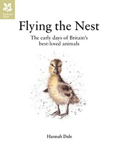 Beispielbild fr FLYING THE NEST (TBP ED) zum Verkauf von WorldofBooks