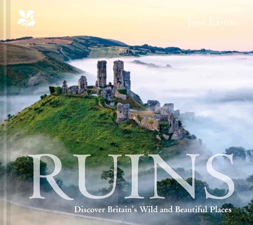 Stock image for Ruins: Discover Britain's Wild and Beautiful Places for sale by Goldstone Books