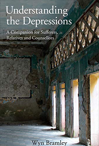 Stock image for Understanding the Depressions: A Companion for Sufferers, Relatives and Counsellors for sale by WorldofBooks
