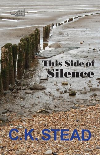 9781911469452: This Side of Silence