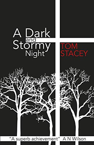 Stock image for A Dark and Stormy Night for sale by WorldofBooks