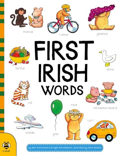 Stock image for First Irish Words (First Word Board Books) for sale by WorldofBooks