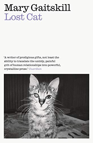 9781911547808: Lost Cat: A Memoir