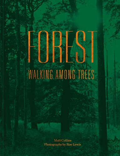 Beispielbild fr Forest: Walking among trees zum Verkauf von Books From California