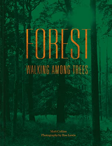 Imagen de archivo de Forest: Walking among trees a la venta por Books From California