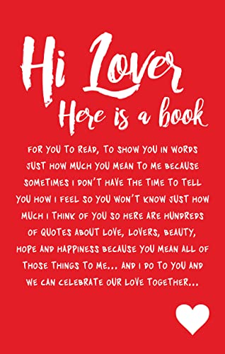 Imagen de archivo de Hi Lover a la venta por Books From California