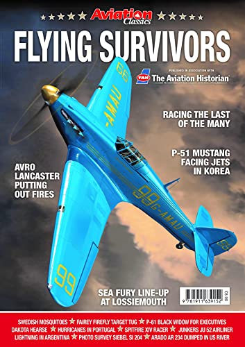 Beispielbild fr Flying Survivors - WW2 Aircraft in Peacetime zum Verkauf von Books From California