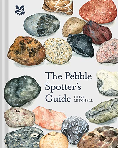 Beispielbild fr The Pebble Spotter's Guide zum Verkauf von Blackwell's
