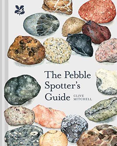 Stock image for The Pebble Spotter's Guide for sale by Blackwell's