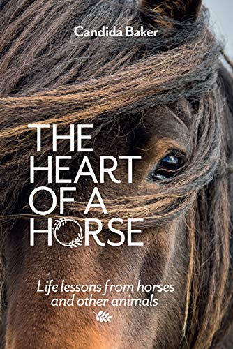 Stock image for The Heart of a Horse: Life lessons from horses and other animals for sale by GF Books, Inc.