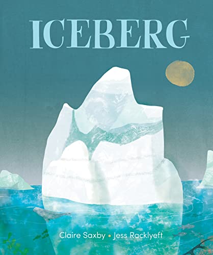 Stock image for Iceberg for sale by Blackwell's