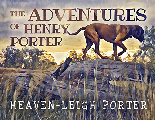 Stock image for The Adventures of Henry Porter for sale by ThriftBooks-Atlanta