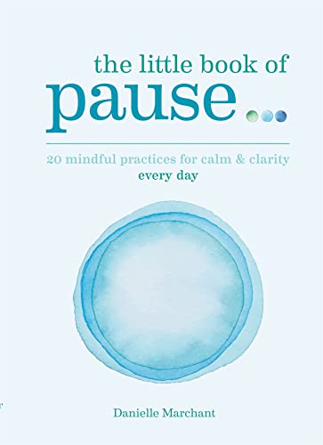 Stock image for Little Book of Pause for sale by Books From California