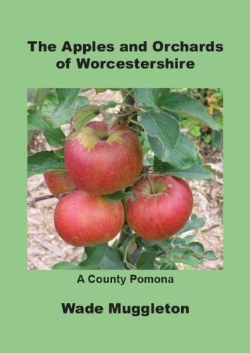 Stock image for The Apples and Orchards of Worcestershire for sale by WorldofBooks