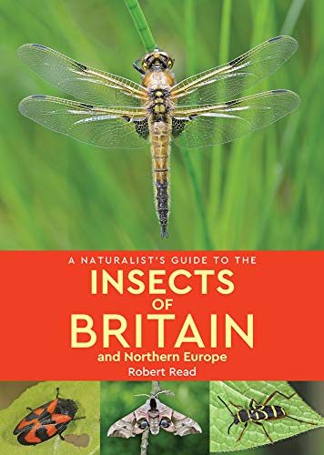 Stock image for A Naturalist's Guide to the Insects of Britain and Northern Europe (2nd edition) for sale by WorldofBooks