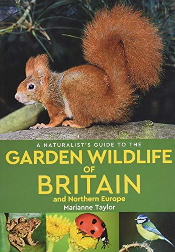 Stock image for A Naturalist  s Guide to the Garden Wildlife of Britain and Northern Europe (2nd edition) for sale by WorldofBooks