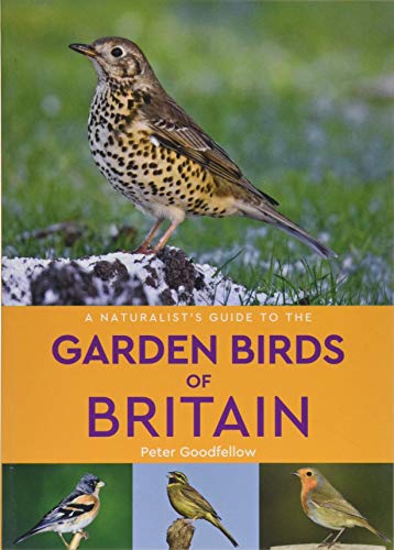 Beispielbild fr A Naturalist  s Guide to the Garden Birds of Britain (2nd edition) zum Verkauf von WorldofBooks