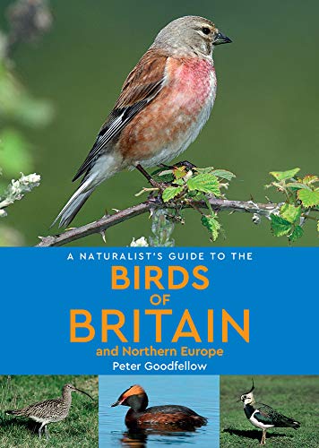 Imagen de archivo de A Naturalist's Guide to the Birds of Britain & Northern Europe a la venta por Redux Books