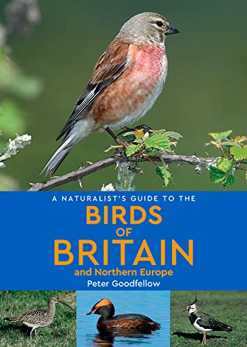 Stock image for A Naturalist's Guide to Birds of Britain and Northern Europe for sale by Blackwell's
