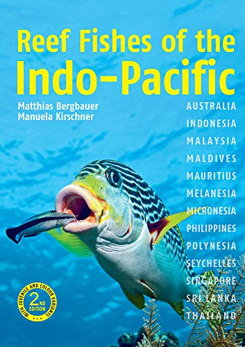 Beispielbild fr Reef Fishes of the Indo-Pacific zum Verkauf von Better World Books