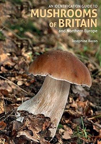 Beispielbild fr An Identification Guide to Mushrooms of Great Britain and Northern Europe zum Verkauf von Blackwell's