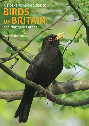 Beispielbild fr Identification Guide to Birds of Britain &amp; Northern Europe zum Verkauf von Blackwell's