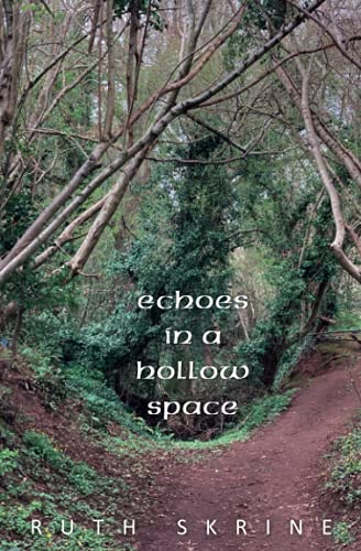 Stock image for Echoes in a Hollow Space (Novella-in-Flash) for sale by Reuseabook