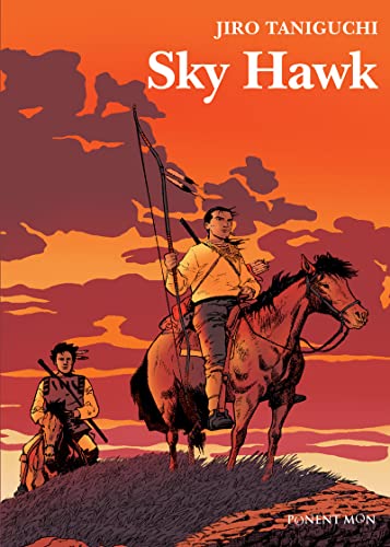 9781912097050: Sky Hawk