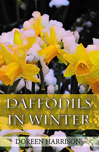 Stock image for Daffodils in Winter for sale by WorldofBooks