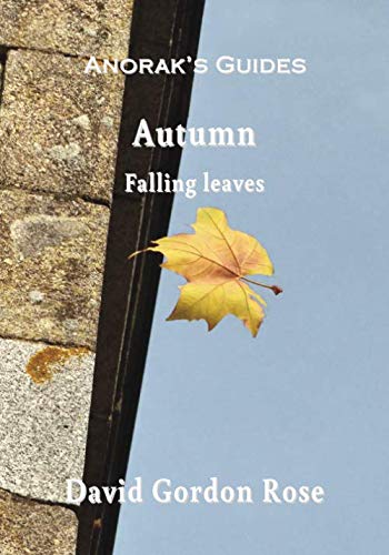 Imagen de archivo de Autumn: Falling Leaves a la venta por WorldofBooks