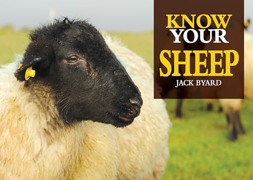 Beispielbild fr Know Your Sheep (Old Pond Books) 44 Sheep Breeds from Beulah Speckled Face to Wensleydale, with Full-Page Photos and Comprehensive Descriptions of the Appearance, History, Wool Quality, and More zum Verkauf von WorldofBooks