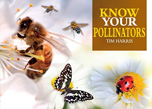 Stock image for Know Your Pollinators (Old Pond Books) 40 Common Pollinating Insects including Bees, Wasps, Flower Flies, Butterflies, Moths, & Beetles, with Appearance, Behavior, & How to Attract Them to Your Garden for sale by Books Unplugged