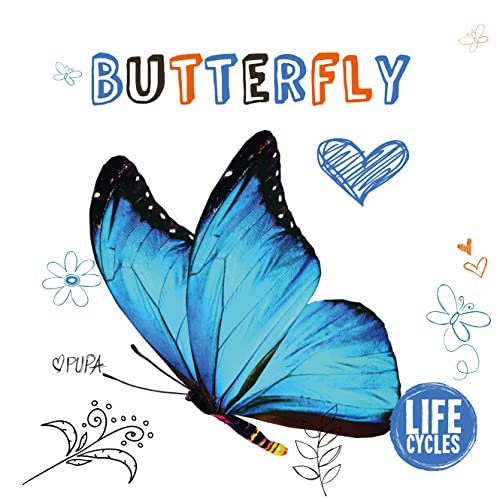 Imagen de archivo de Butterfly a la venta por Blackwell's
