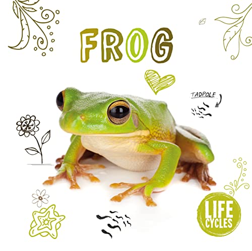 Stock image for Frog (Life Cycles) for sale by WorldofBooks