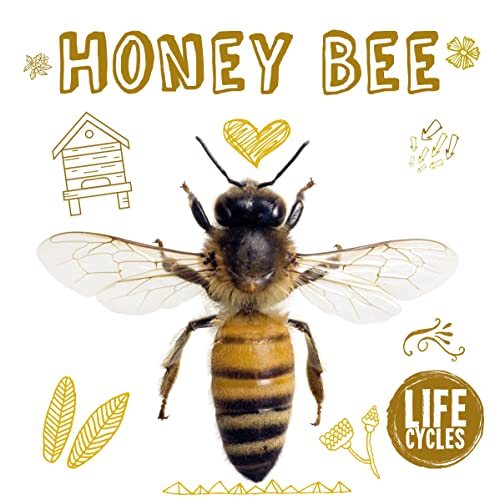 Imagen de archivo de Honey Bee a la venta por Blackwell's