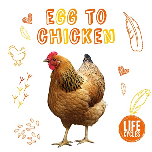 Stock image for Chicken (Life Cycles) for sale by HPB Inc.