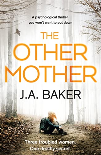 Beispielbild fr The Other Mother : A Psychological Thriller You Won't Want to Put Down zum Verkauf von Better World Books