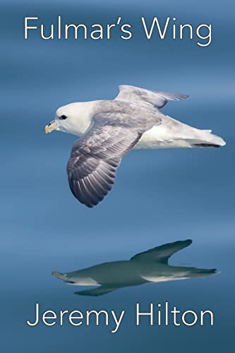 Stock image for Fulmar's Wing for sale by WorldofBooks
