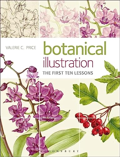 9781912217151: Botanical Illustration: The first ten lessons