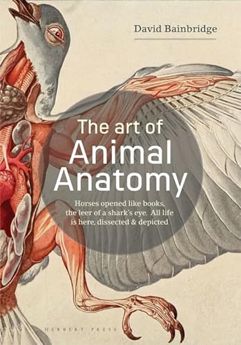 Beispielbild fr Art of Animal Anatomy zum Verkauf von Blackwell's