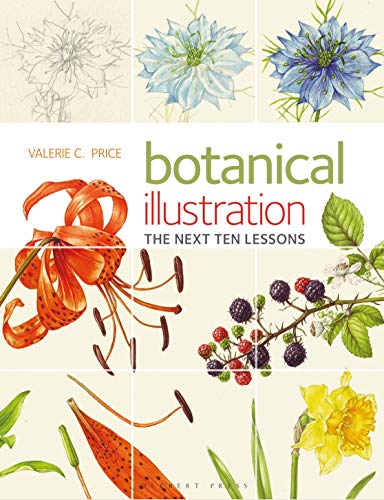 Stock image for Botanical Illustration: The Next Ten Lessons: Colour and Composition for sale by WorldofBooks
